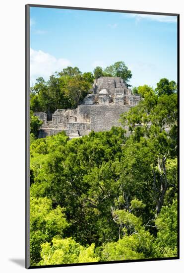 ¡Viva Mexico! Collection - Ancient Maya City within the jungle of Calakmul VI-Philippe Hugonnard-Mounted Photographic Print