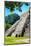 ¡Viva Mexico! Collection - Beautiful Temple of the Inscription - Palenque III-Philippe Hugonnard-Mounted Photographic Print