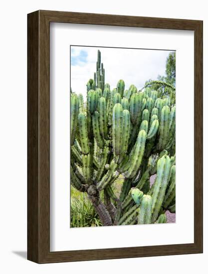 ¡Viva Mexico! Collection - Cactus Details III-Philippe Hugonnard-Framed Photographic Print