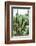 ¡Viva Mexico! Collection - Cactus Details III-Philippe Hugonnard-Framed Photographic Print