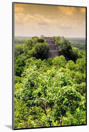 ¡Viva Mexico! Collection - Calakmul in the Mexican Jungle at Sunset II-Philippe Hugonnard-Mounted Photographic Print