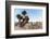 ¡Viva Mexico! Collection - Cantona Archaeological Ruins II-Philippe Hugonnard-Framed Photographic Print