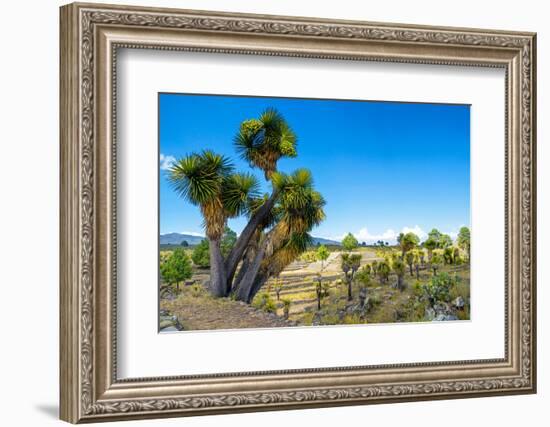 ¡Viva Mexico! Collection - Cantona Archaeological Ruins-Philippe Hugonnard-Framed Photographic Print