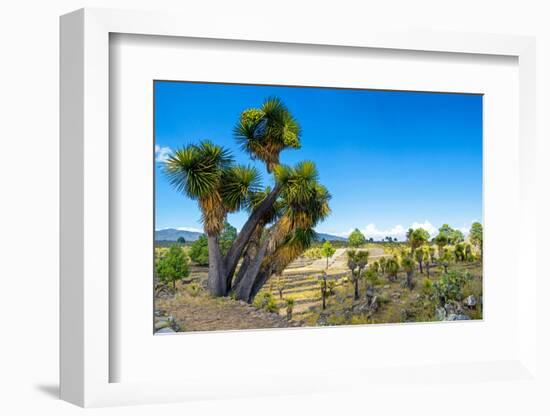 ¡Viva Mexico! Collection - Cantona Archaeological Ruins-Philippe Hugonnard-Framed Photographic Print