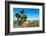 ¡Viva Mexico! Collection - Cantona Archaeological Ruins-Philippe Hugonnard-Framed Photographic Print