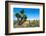 ¡Viva Mexico! Collection - Cantona Archaeological Ruins-Philippe Hugonnard-Framed Photographic Print