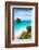 ?Viva Mexico! Collection - Caribbean Coastline in Tulum III-Philippe Hugonnard-Framed Photographic Print