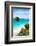 ?Viva Mexico! Collection - Caribbean Coastline in Tulum III-Philippe Hugonnard-Framed Photographic Print