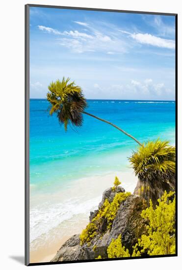 ¡Viva Mexico! Collection - Caribbean Coastline in Tulum IV-Philippe Hugonnard-Mounted Photographic Print