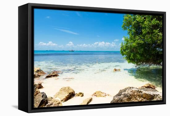 ¡Viva Mexico! Collection - Caribbean Coastline - Isla Mujeres-Philippe Hugonnard-Framed Premier Image Canvas