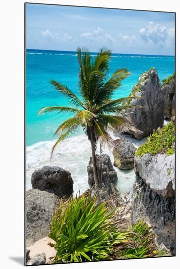 ?Viva Mexico! Collection - Caribbean Coastline-Philippe Hugonnard-Mounted Photographic Print