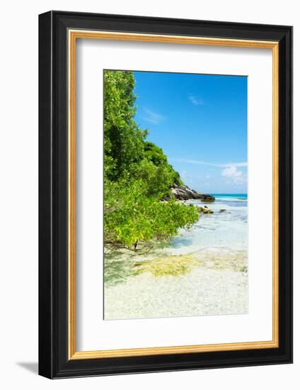 ?Viva Mexico! Collection - Coastline Paradise in Isla Mujeres III-Philippe Hugonnard-Framed Photographic Print