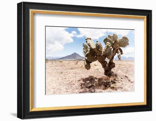 ¡Viva Mexico! Collection - Desert Landscape - Puebla II-Philippe Hugonnard-Framed Photographic Print