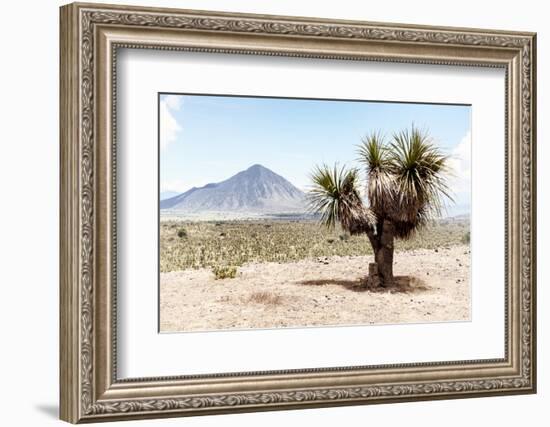 ¡Viva Mexico! Collection - Desert Landscape - Puebla V-Philippe Hugonnard-Framed Photographic Print