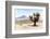 ¡Viva Mexico! Collection - Desert Landscape - Puebla V-Philippe Hugonnard-Framed Photographic Print