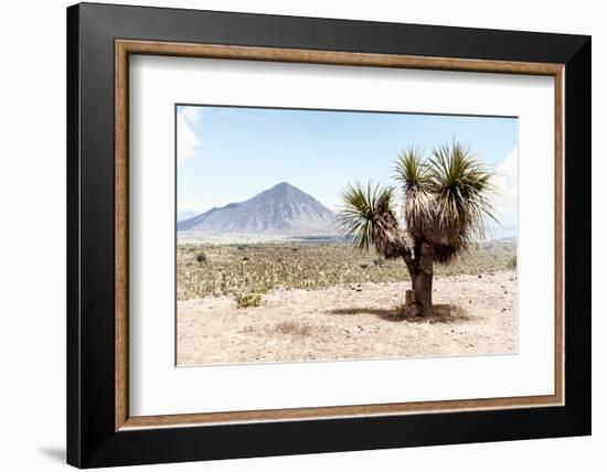 ¡Viva Mexico! Collection - Desert Landscape - Puebla V-Philippe Hugonnard-Framed Photographic Print