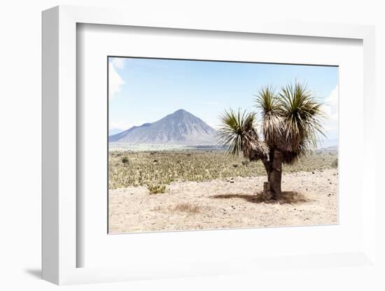 ¡Viva Mexico! Collection - Desert Landscape - Puebla V-Philippe Hugonnard-Framed Photographic Print