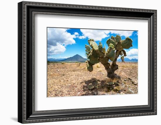 ¡Viva Mexico! Collection - Desert Landscape - Puebla-Philippe Hugonnard-Framed Photographic Print