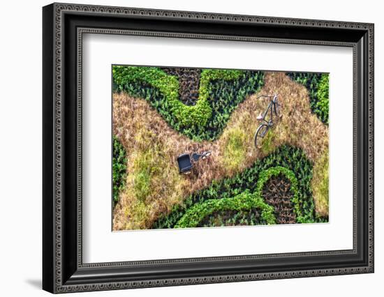 ¡Viva Mexico! Collection - Earth from above-Philippe Hugonnard-Framed Photographic Print