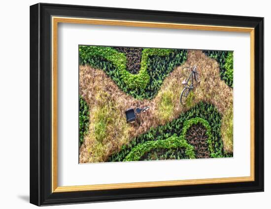 ¡Viva Mexico! Collection - Earth from above-Philippe Hugonnard-Framed Photographic Print