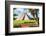 ¡Viva Mexico! Collection - El Castillo Pyramid in Chichen Itza XVI-Philippe Hugonnard-Framed Photographic Print