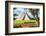 ¡Viva Mexico! Collection - El Castillo Pyramid in Chichen Itza XVI-Philippe Hugonnard-Framed Photographic Print