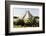 ¡Viva Mexico! Collection - El Castillo Pyramid of the Chichen Itza II-Philippe Hugonnard-Framed Photographic Print