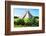 ¡Viva Mexico! Collection - El Castillo Pyramid of the Chichen Itza-Philippe Hugonnard-Framed Photographic Print