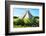 ¡Viva Mexico! Collection - El Castillo Pyramid of the Chichen Itza-Philippe Hugonnard-Framed Photographic Print