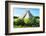 ¡Viva Mexico! Collection - El Castillo Pyramid of the Chichen Itza-Philippe Hugonnard-Framed Photographic Print