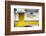 ¡Viva Mexico! Collection - Extra Gold-Philippe Hugonnard-Framed Photographic Print