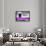 ¡Viva Mexico! Collection - Extra Purple-Philippe Hugonnard-Framed Premium Photographic Print displayed on a wall