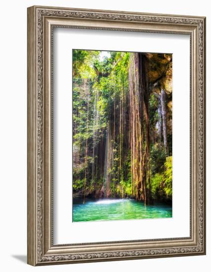 ¡Viva Mexico! Collection - Hanging Roots of Ik-Kil Cenote II-Philippe Hugonnard-Framed Photographic Print