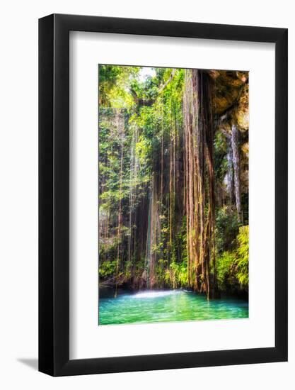 ¡Viva Mexico! Collection - Hanging Roots of Ik-Kil Cenote II-Philippe Hugonnard-Framed Photographic Print
