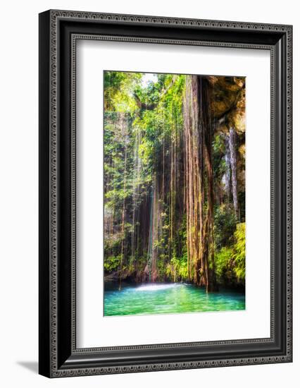 ¡Viva Mexico! Collection - Hanging Roots of Ik-Kil Cenote II-Philippe Hugonnard-Framed Photographic Print