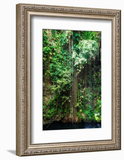 ¡Viva Mexico! Collection - Hanging Roots of Ik-Kil Cenote III-Philippe Hugonnard-Framed Photographic Print