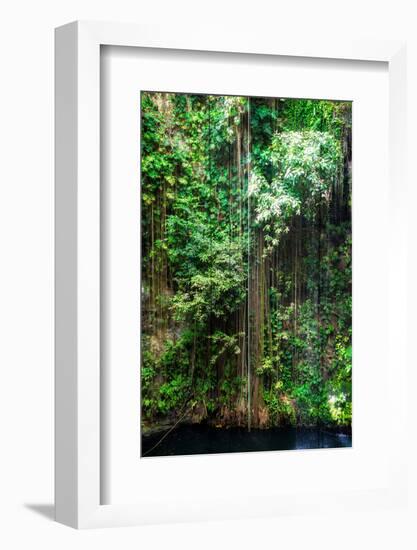 ¡Viva Mexico! Collection - Hanging Roots of Ik-Kil Cenote III-Philippe Hugonnard-Framed Photographic Print