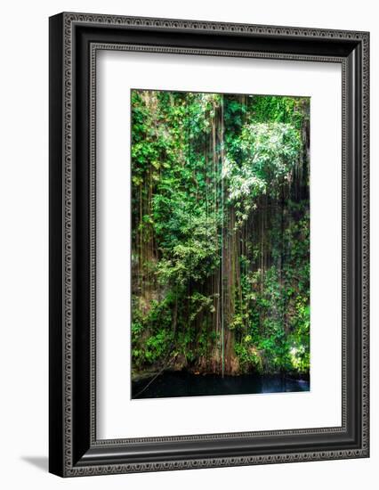 ¡Viva Mexico! Collection - Hanging Roots of Ik-Kil Cenote III-Philippe Hugonnard-Framed Photographic Print