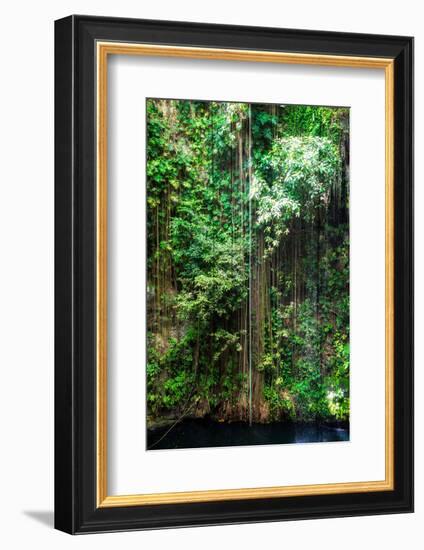 ¡Viva Mexico! Collection - Hanging Roots of Ik-Kil Cenote III-Philippe Hugonnard-Framed Photographic Print