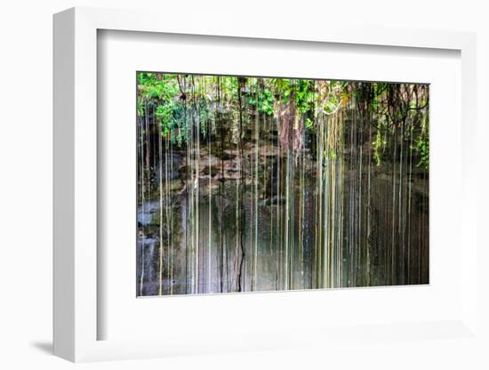 ¡Viva Mexico! Collection - Hanging Roots of Ik-Kil Cenote IV-Philippe Hugonnard-Framed Photographic Print