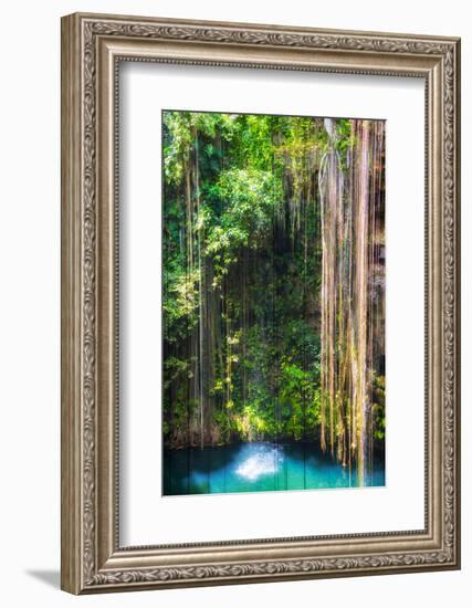 ¡Viva Mexico! Collection - Hanging Roots of Ik-Kil Cenote-Philippe Hugonnard-Framed Photographic Print