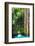 ¡Viva Mexico! Collection - Hanging Roots of Ik-Kil Cenote-Philippe Hugonnard-Framed Photographic Print