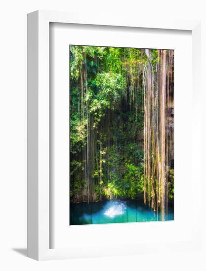 ¡Viva Mexico! Collection - Hanging Roots of Ik-Kil Cenote-Philippe Hugonnard-Framed Photographic Print