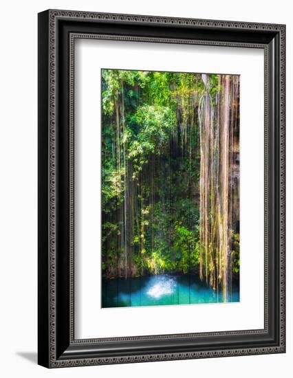 ¡Viva Mexico! Collection - Hanging Roots of Ik-Kil Cenote-Philippe Hugonnard-Framed Photographic Print