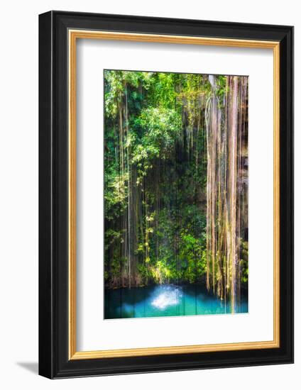 ¡Viva Mexico! Collection - Hanging Roots of Ik-Kil Cenote-Philippe Hugonnard-Framed Photographic Print