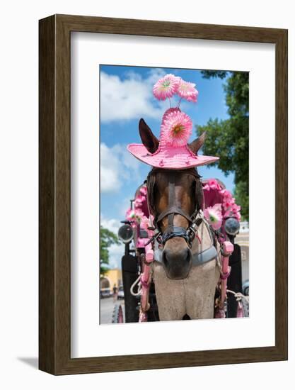 ¡Viva Mexico! Collection - Horse with a Pink Hat-Philippe Hugonnard-Framed Photographic Print