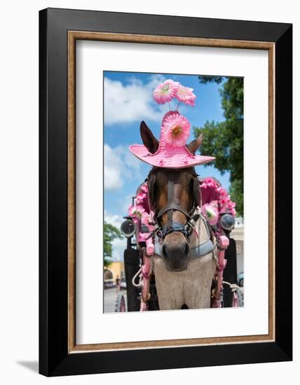 ¡Viva Mexico! Collection - Horse with a Pink Hat-Philippe Hugonnard-Framed Photographic Print