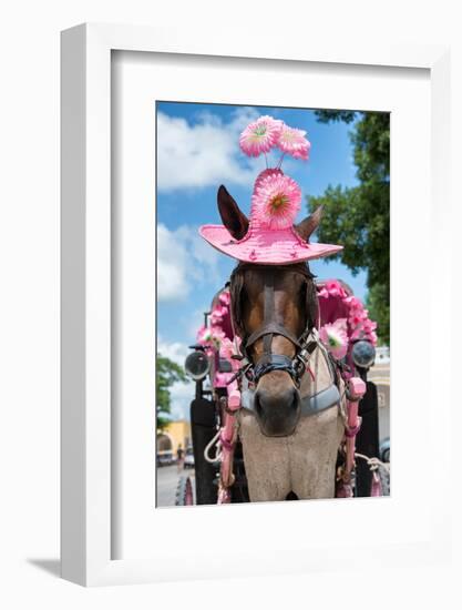 ¡Viva Mexico! Collection - Horse with a Pink Hat-Philippe Hugonnard-Framed Photographic Print