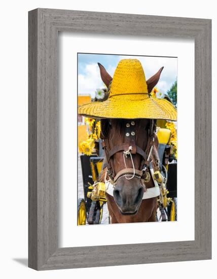 ¡Viva Mexico! Collection - Horse with a straw Hat II - Izamal Yellow City-Philippe Hugonnard-Framed Photographic Print