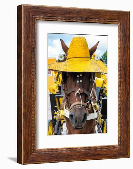 ¡Viva Mexico! Collection - Horse with a straw Hat II - Izamal Yellow City-Philippe Hugonnard-Framed Photographic Print